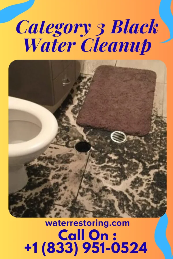 Category 3 Black Water Cleanup in Dumfries, VA
