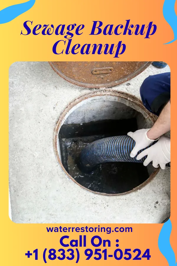 Sewage Backup Cleanup in Dumfries, VA